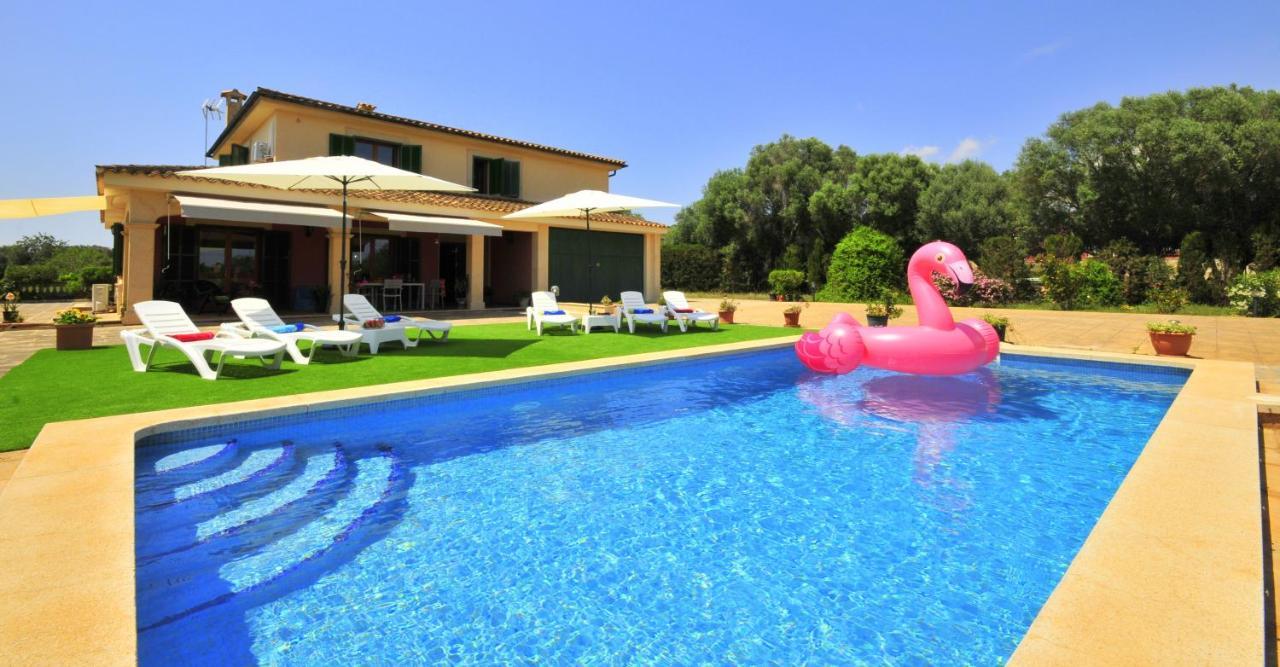 Mallorca Paradise