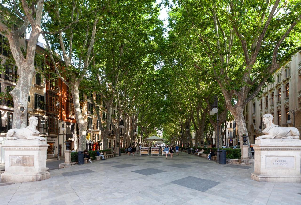 Hotel Nivia Born Boutique Palma de Mallorca