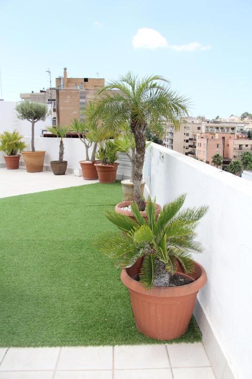 Gomila Palma de Mallorca