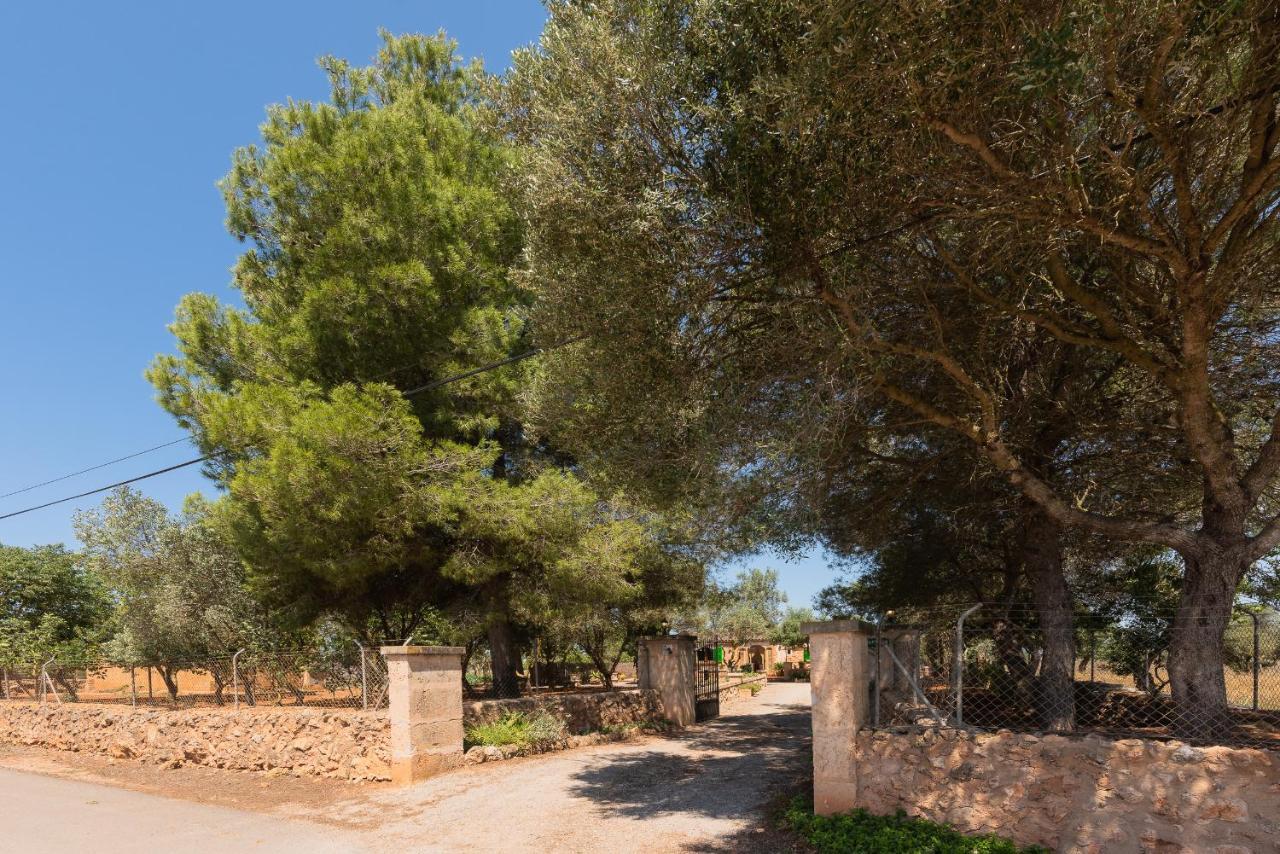 Es Tres Pins * Campos (Mallorca)