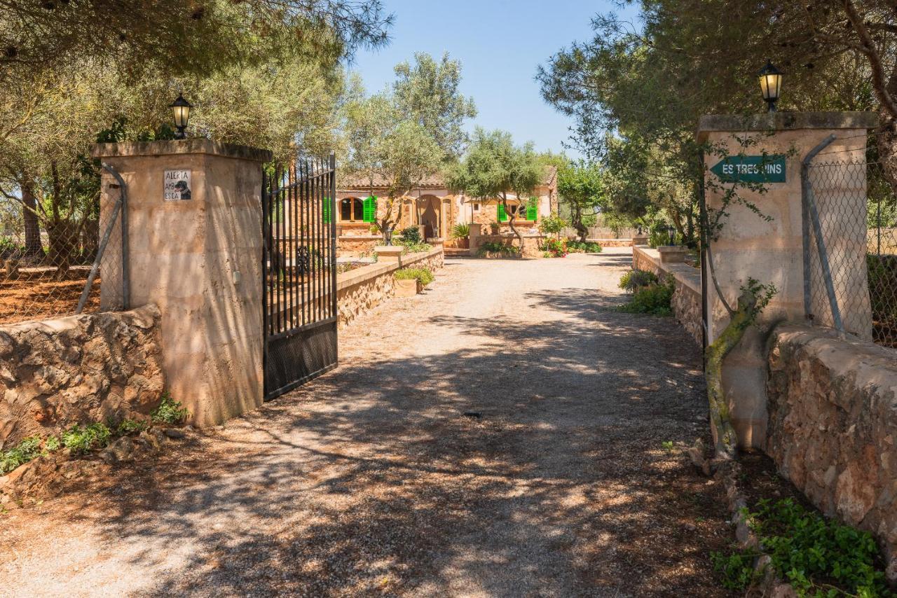 Es Tres Pins * Campos (Mallorca)