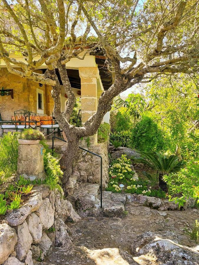 Nord - Typical Majorcan Villa, Private Pool, Bbq, Mediterranean Garden, Petfriendly Villa