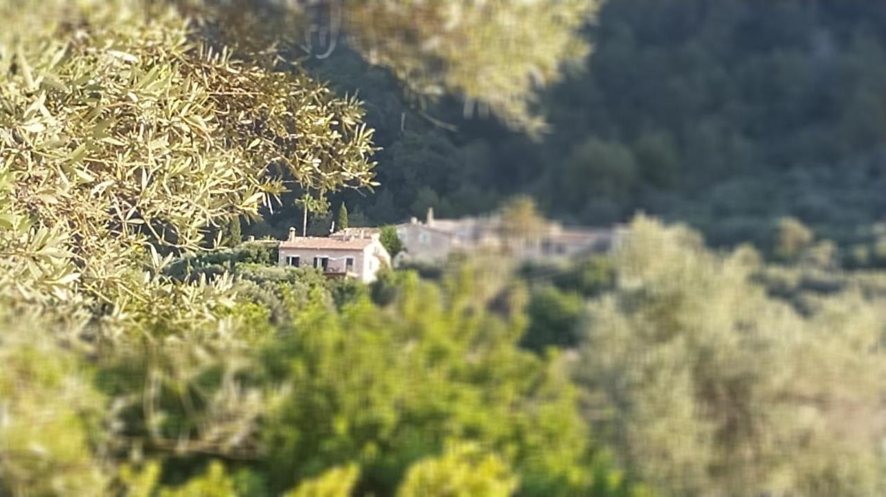 Agroturismo Petita Mare *