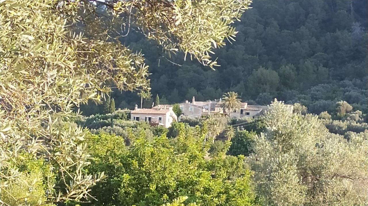 Petita Mare Binibona