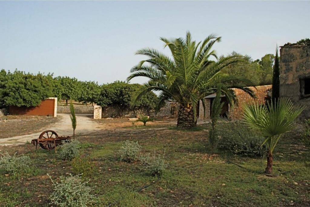 Villa Son Paparra *