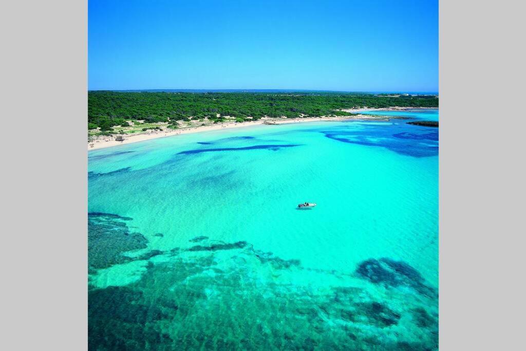 Apartamento New On The Colonia de Sant Jordi