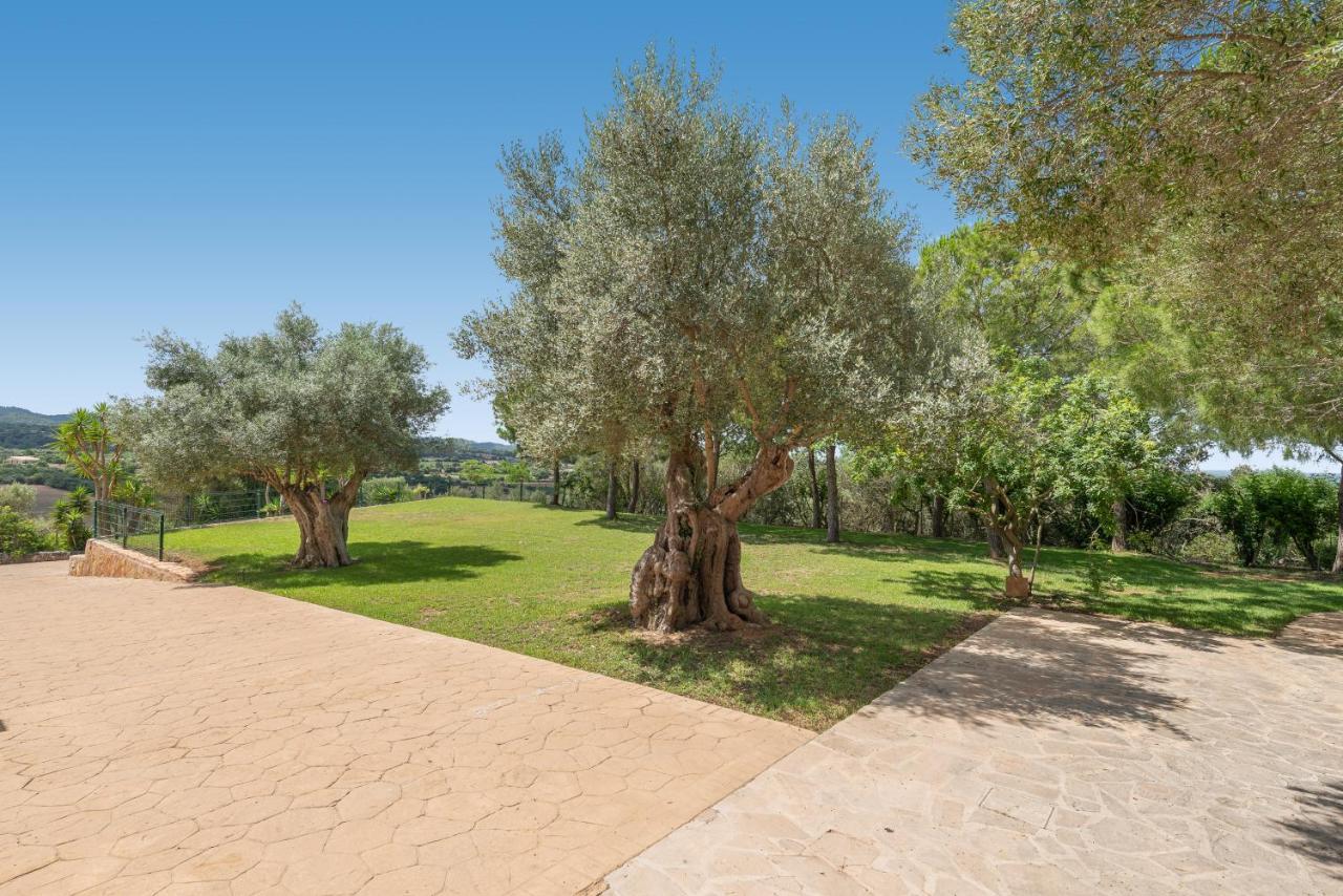 Beautiful Puig Des Call For 18 Guests With Pool *
