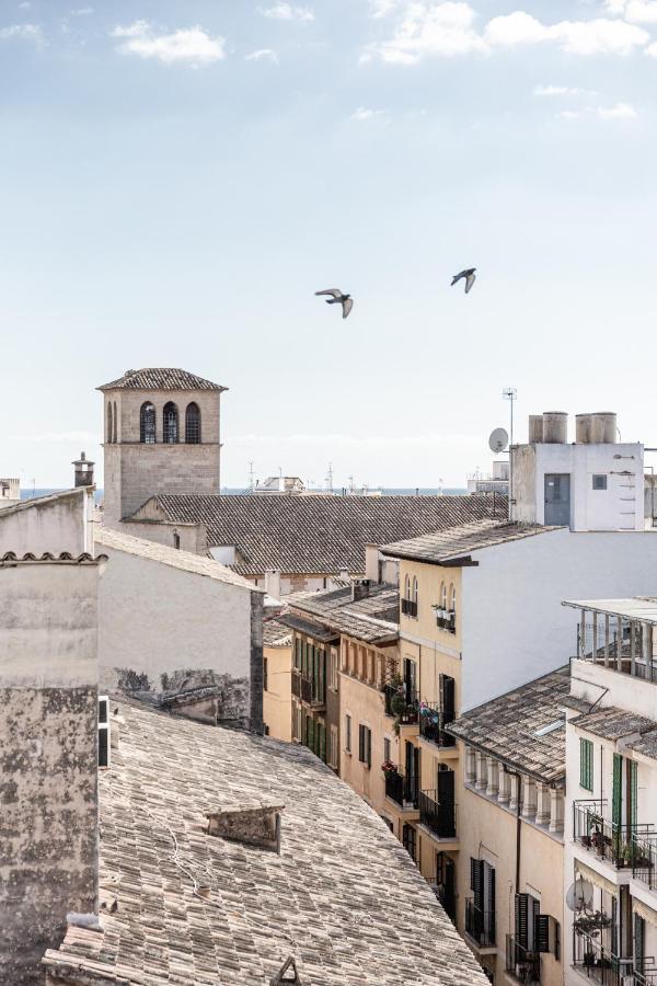 Hotel Concepcio By Nobis
