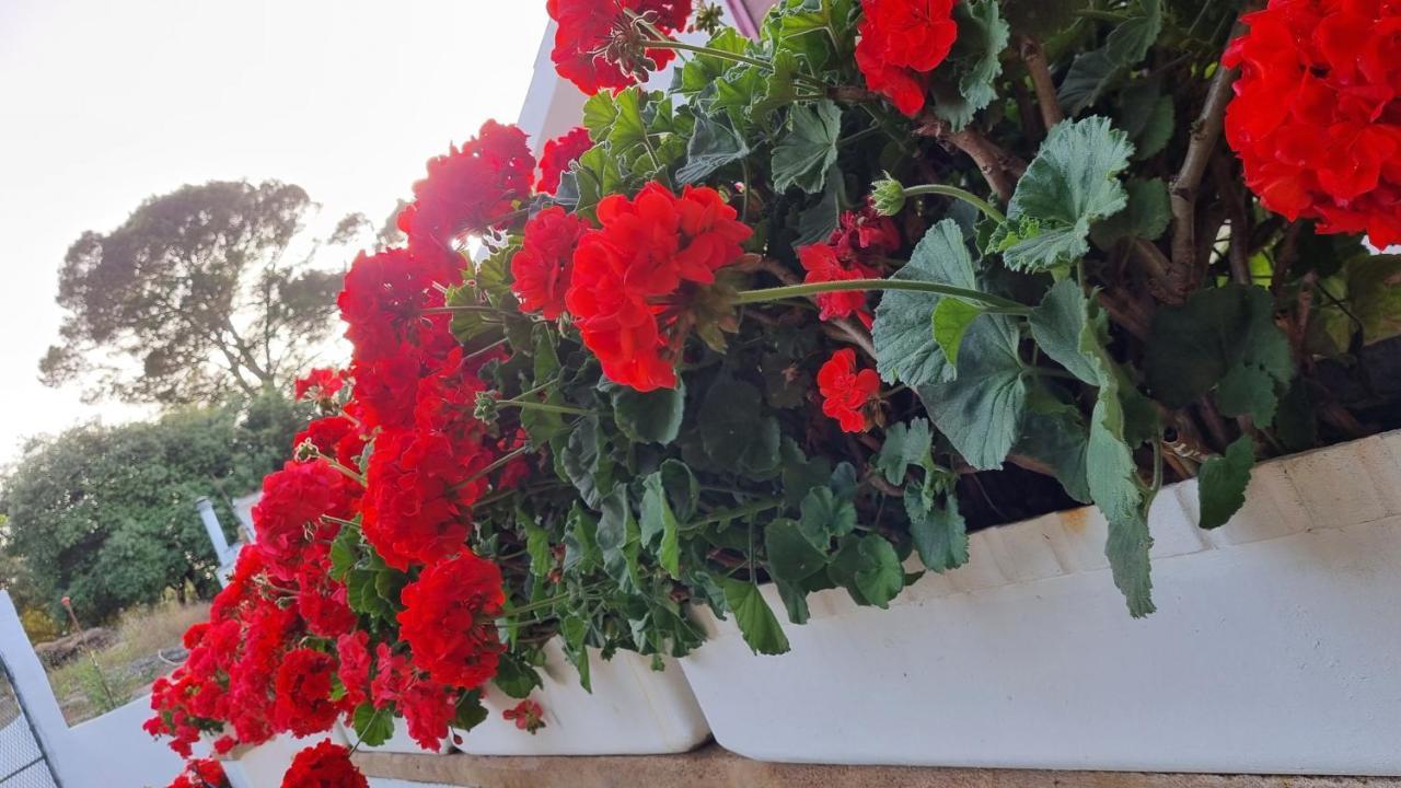 Sa Cova De Mallorca Sencelles