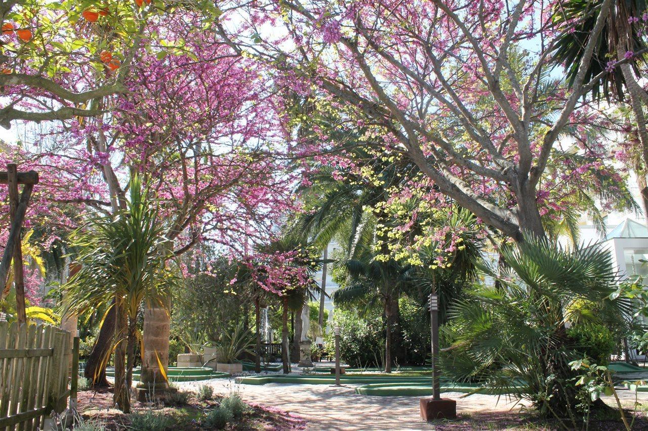 Bahia De Alcudia & 4*