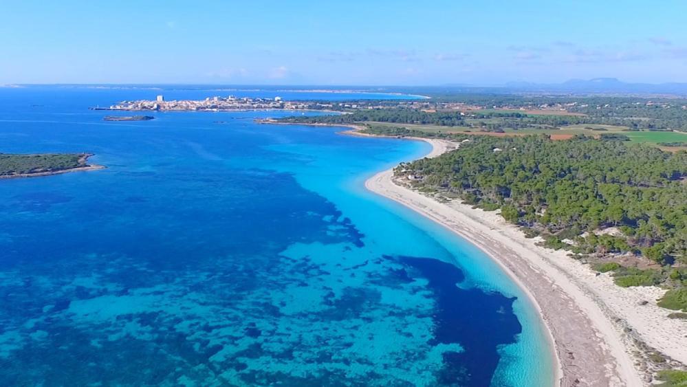Moreno * Ses Salines (Mallorca)