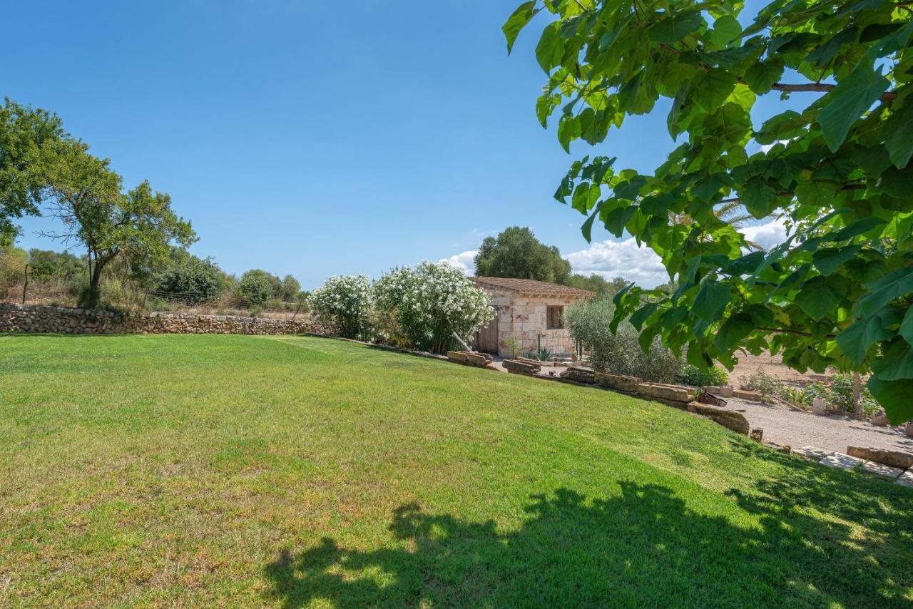 Villa Alcudiola