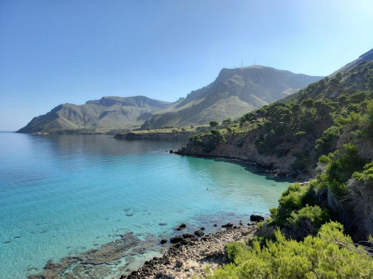 El Nido De Betlem *