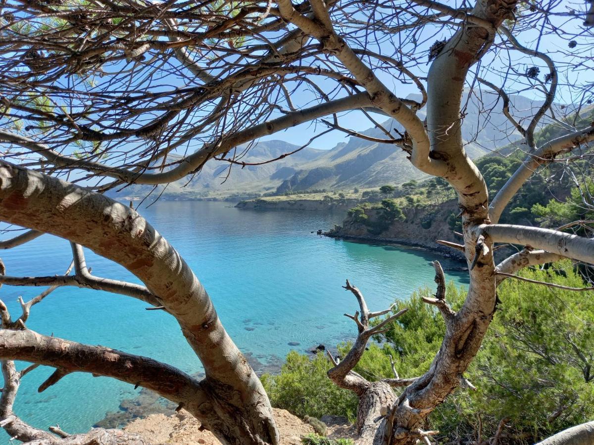 El Nido De Betlem *