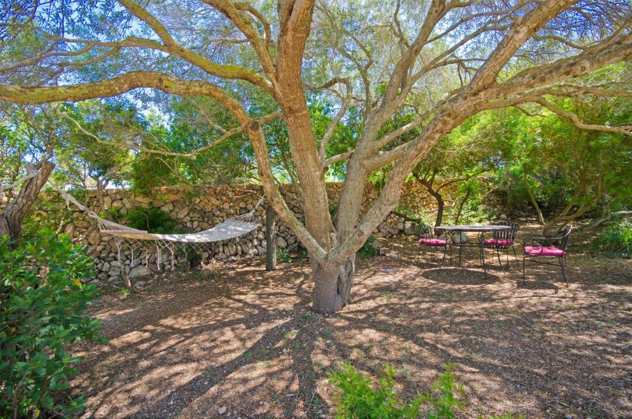 Finca Son Romaní Son Macià