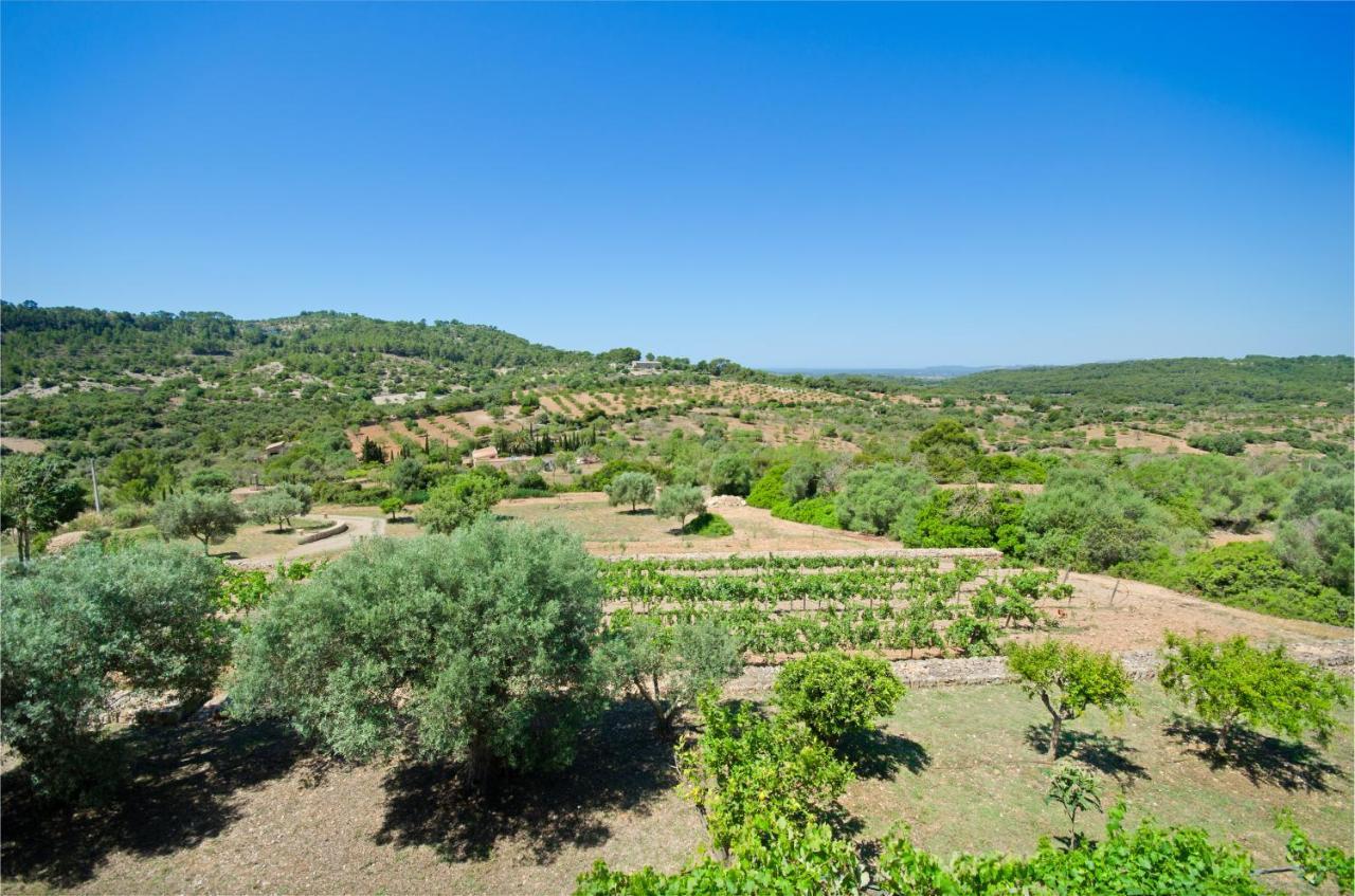 Finca Son Romaní * Son Macià