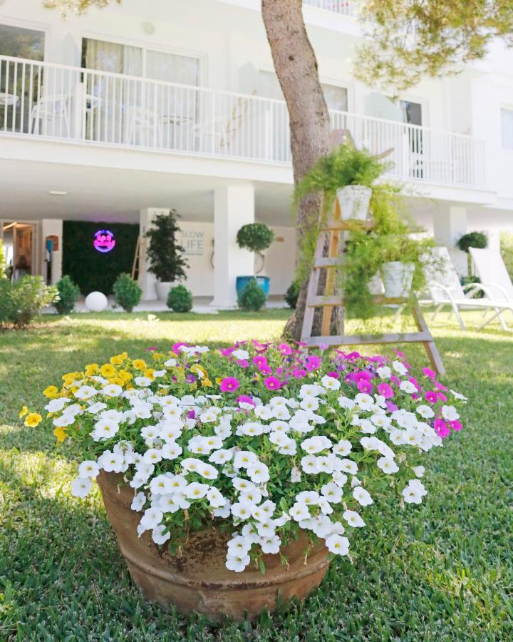 Bonavida 3* Puerto de Alcúdia