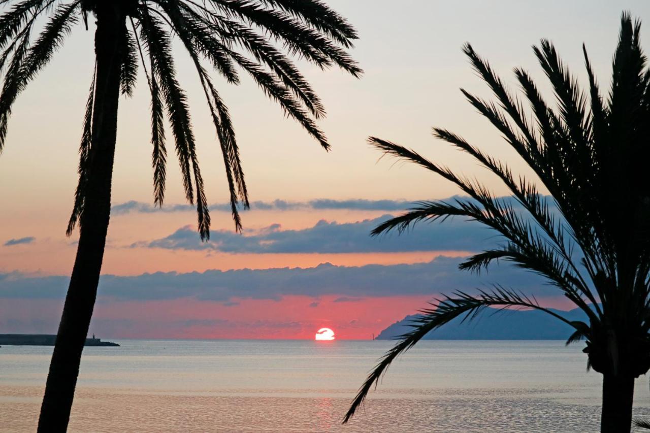 Bonavida Apartahotel Puerto de Alcúdia