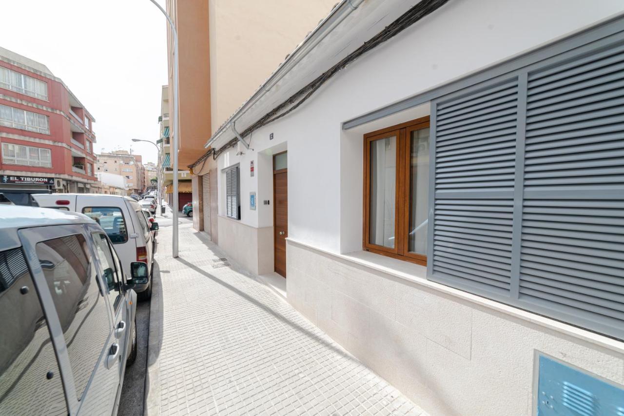 Center Palma