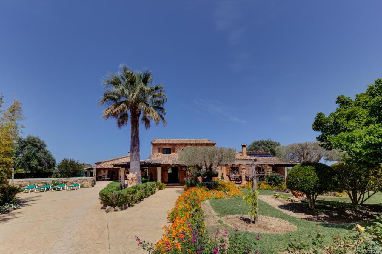 Ses Contesas Alcúdia