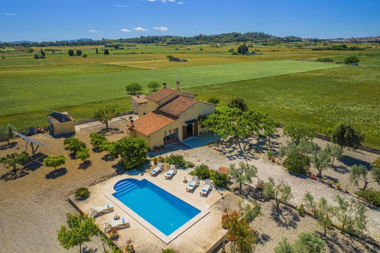 Vernissa Villa Santa Margalida
