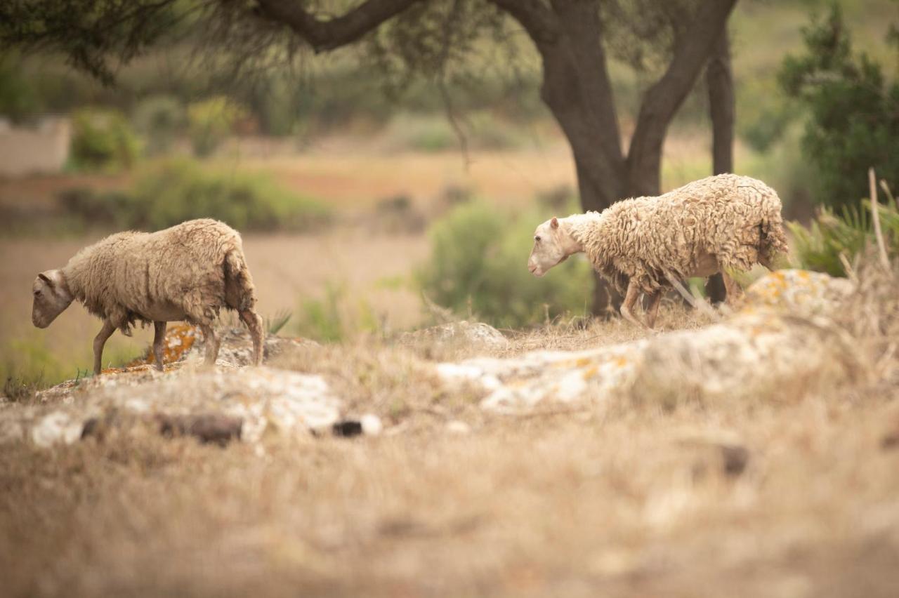 Agroturismo S' Horta Capdepera (Mallorca)