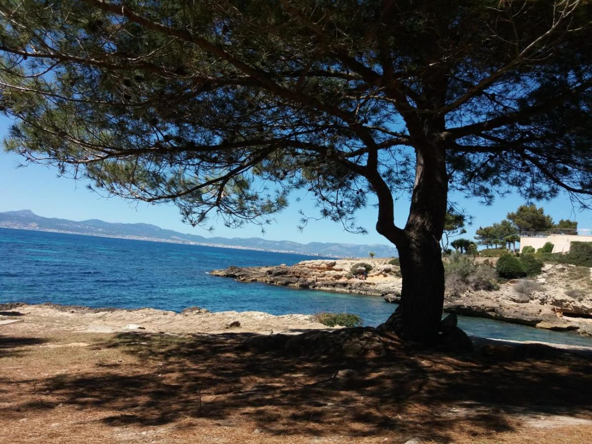 Villa Son Verano
