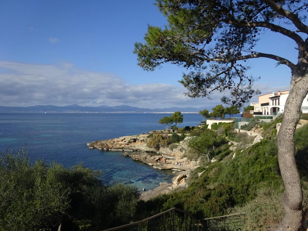 Son Verano Villa *
