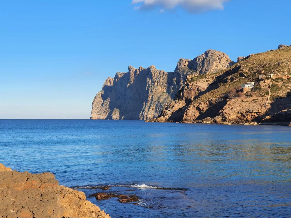 Molins 7 *