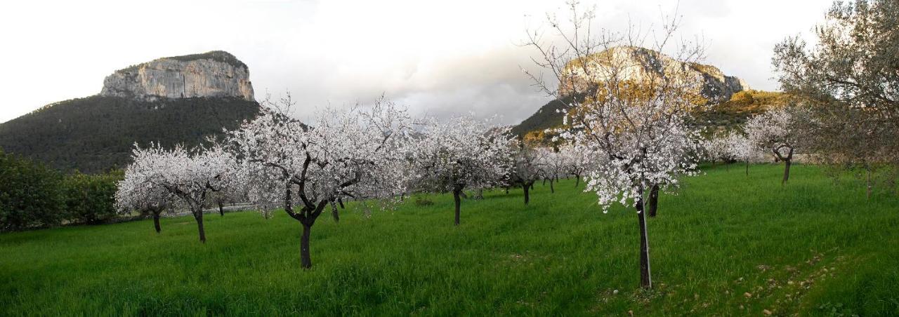 Natura Rural 3*