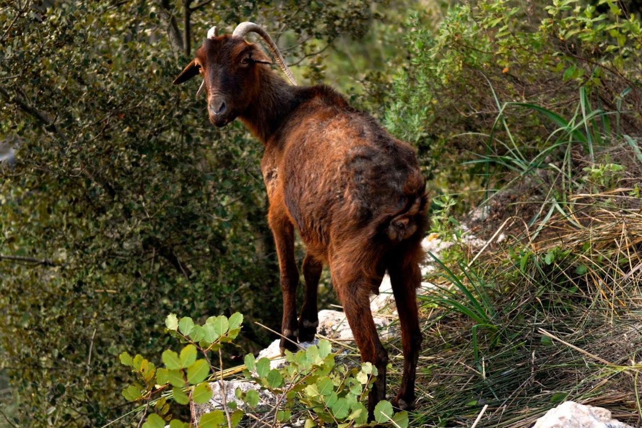 Natura Rural 3*