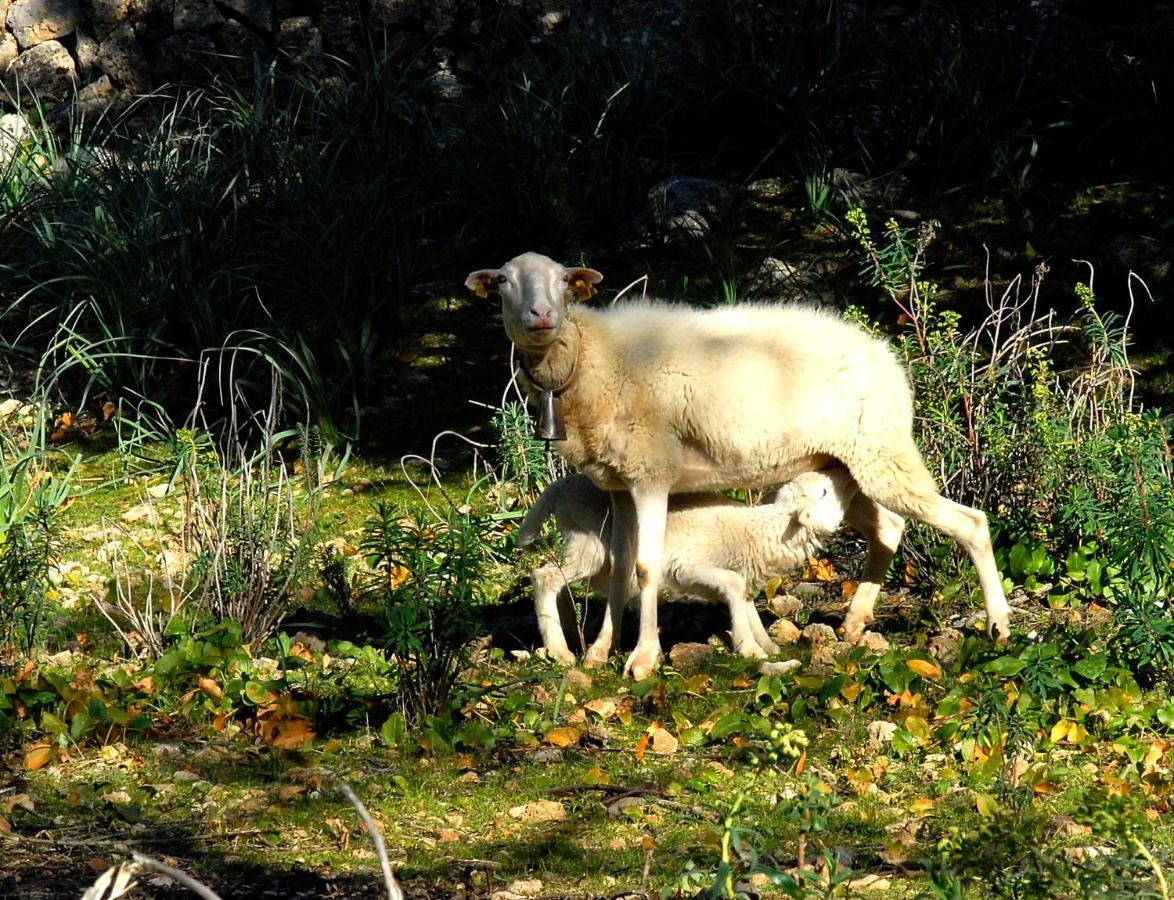 Natura Rural