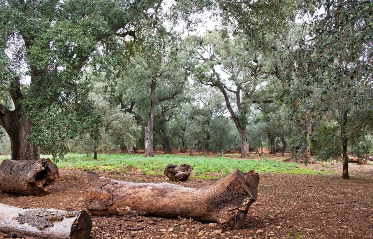 Natura Rural Hotel 3*