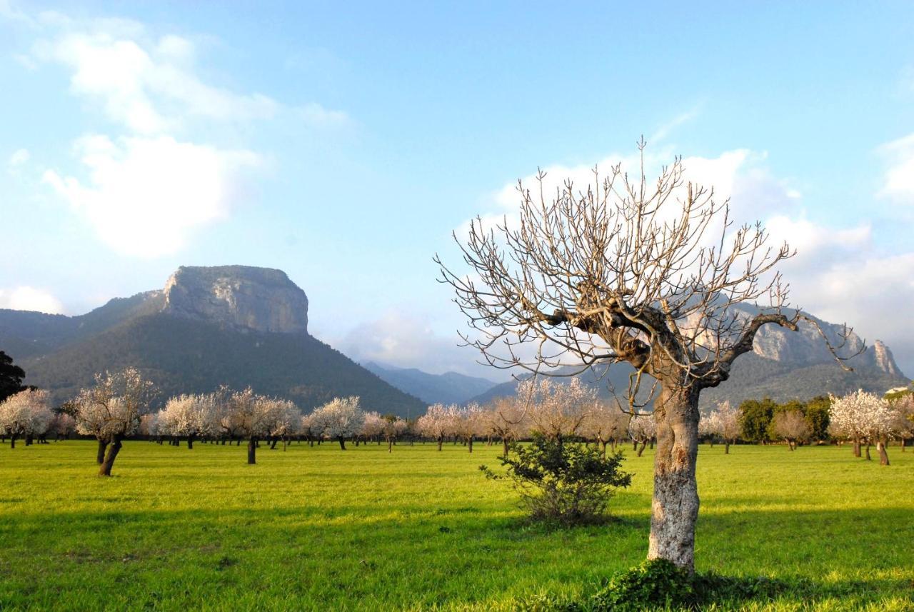 Natura Rural Hotel Alaro