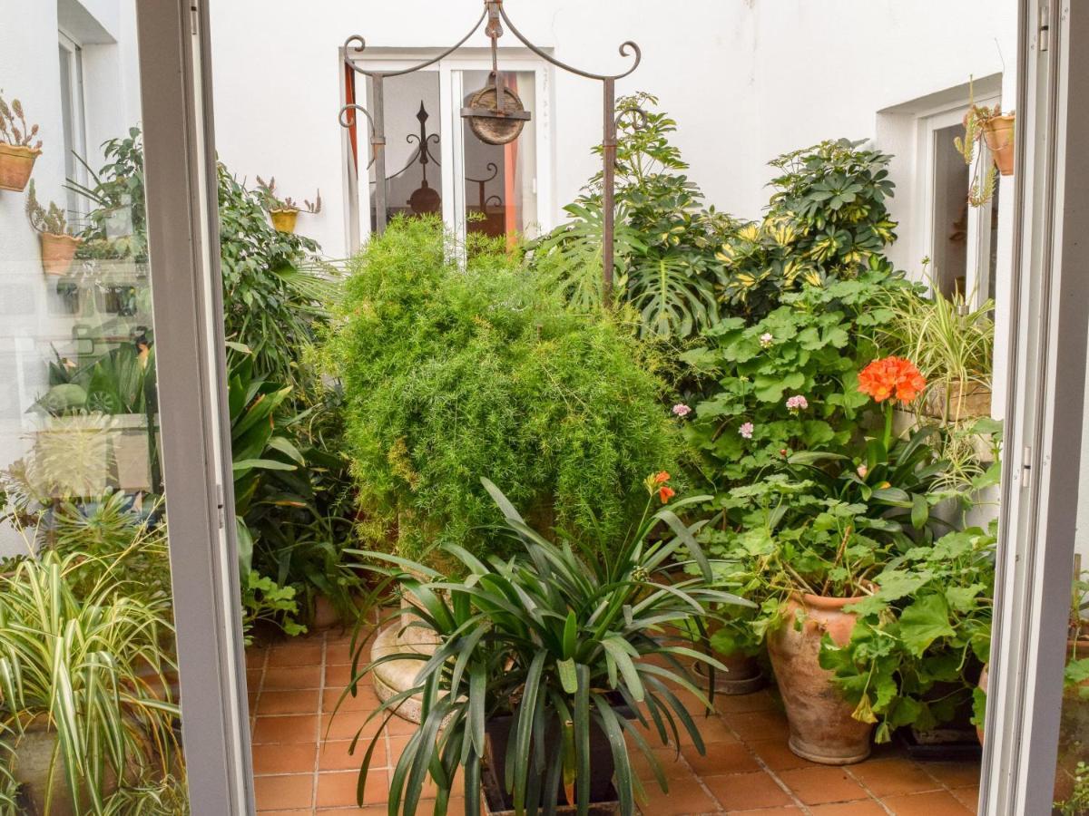 Apartamento Alexia - Coral -