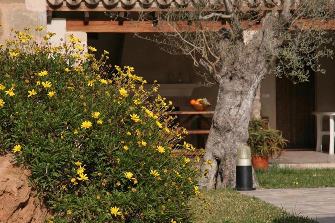 Butxaco Villa Pollensa