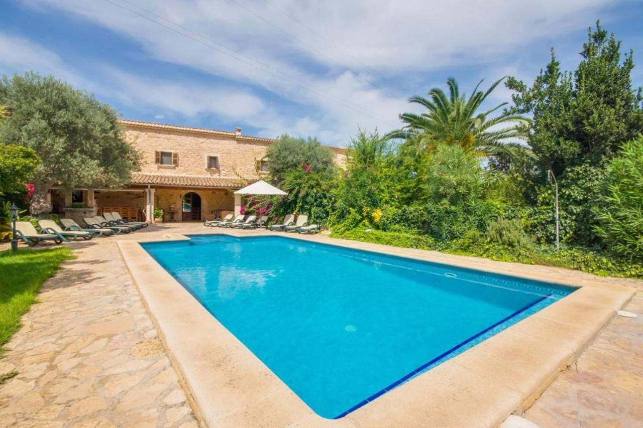 Ideal Mallorca - Nyany