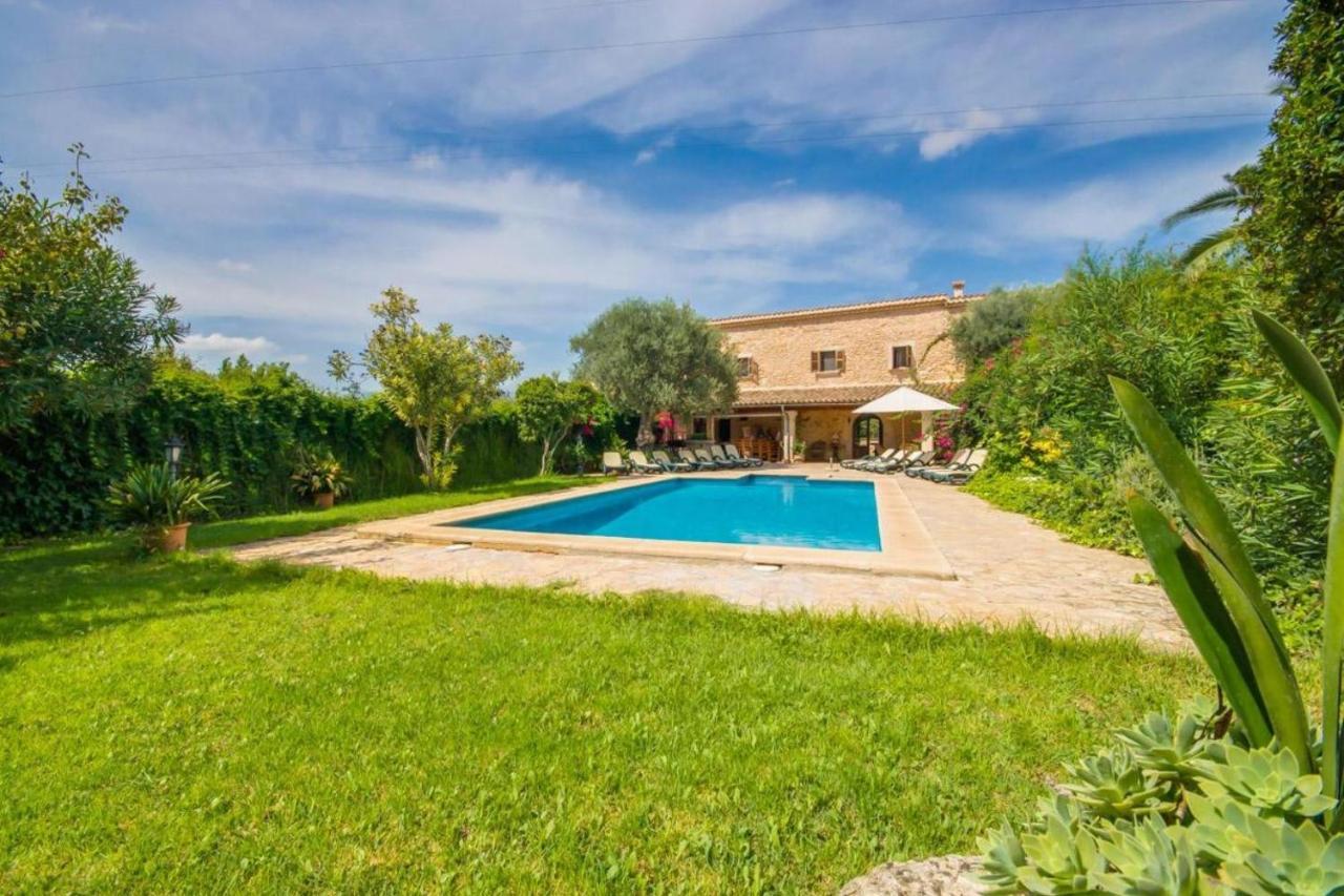 Ideal Mallorca - Nyany *