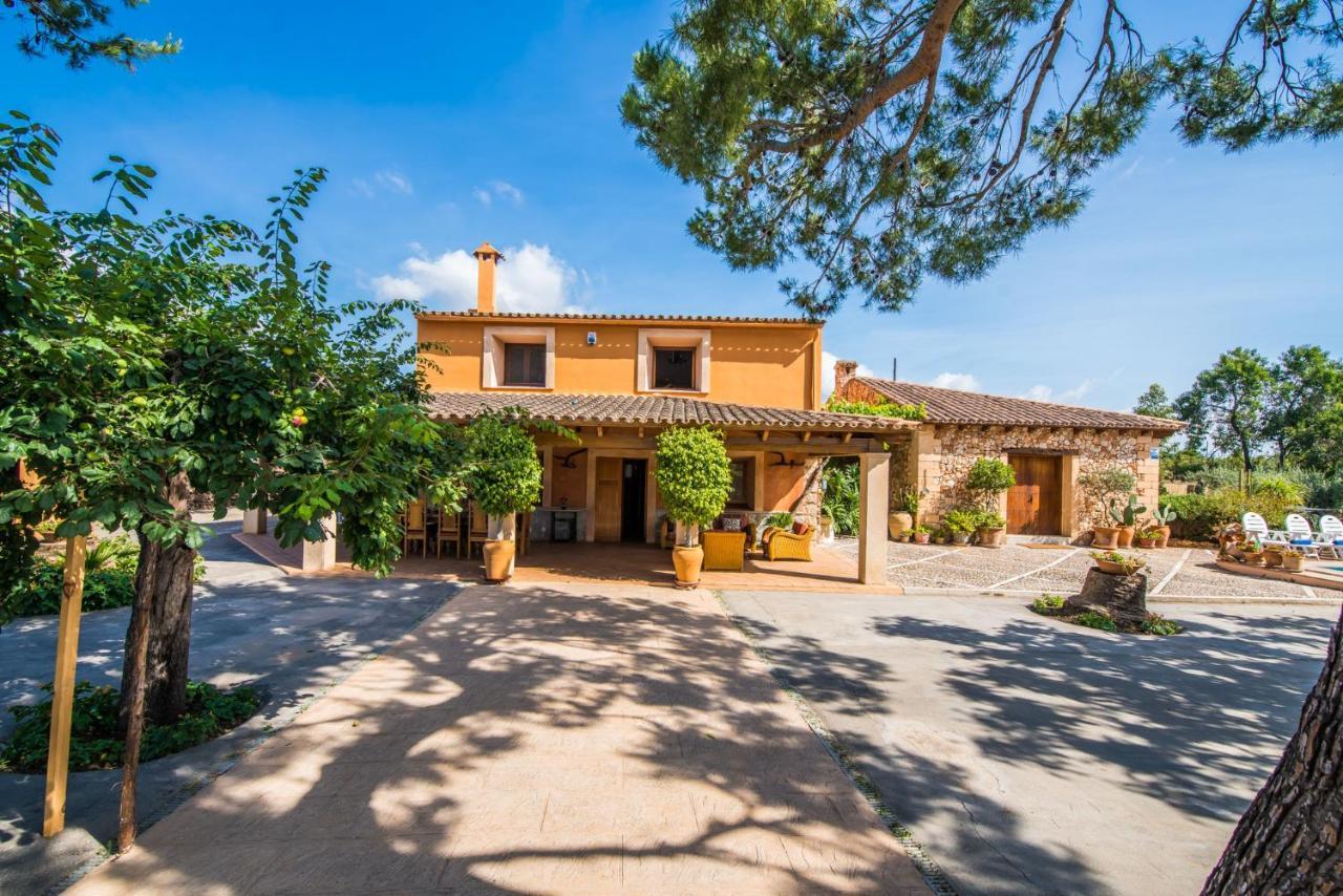 Casa rural Ideal Property Mallorca - Erika