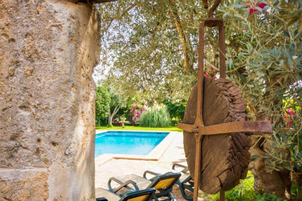 Ideal Mallorca - Nyany *