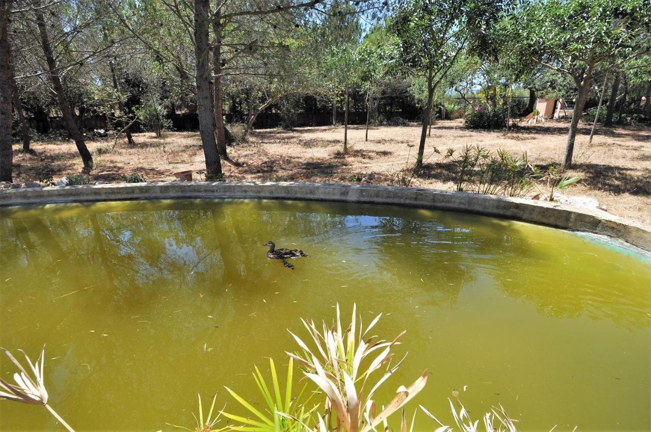 Villa Sa Rota Bunyola (Buñola)