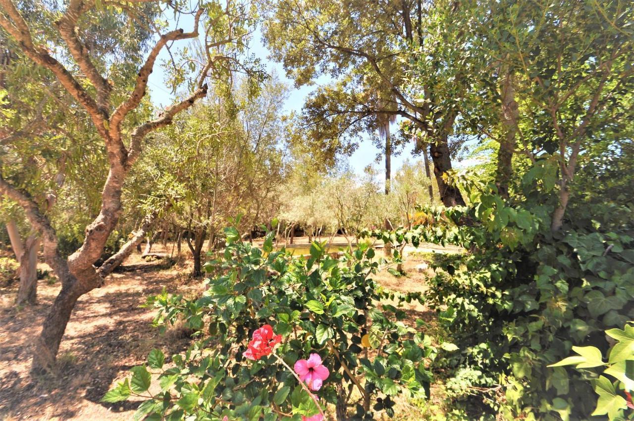 Sa Rota Villa