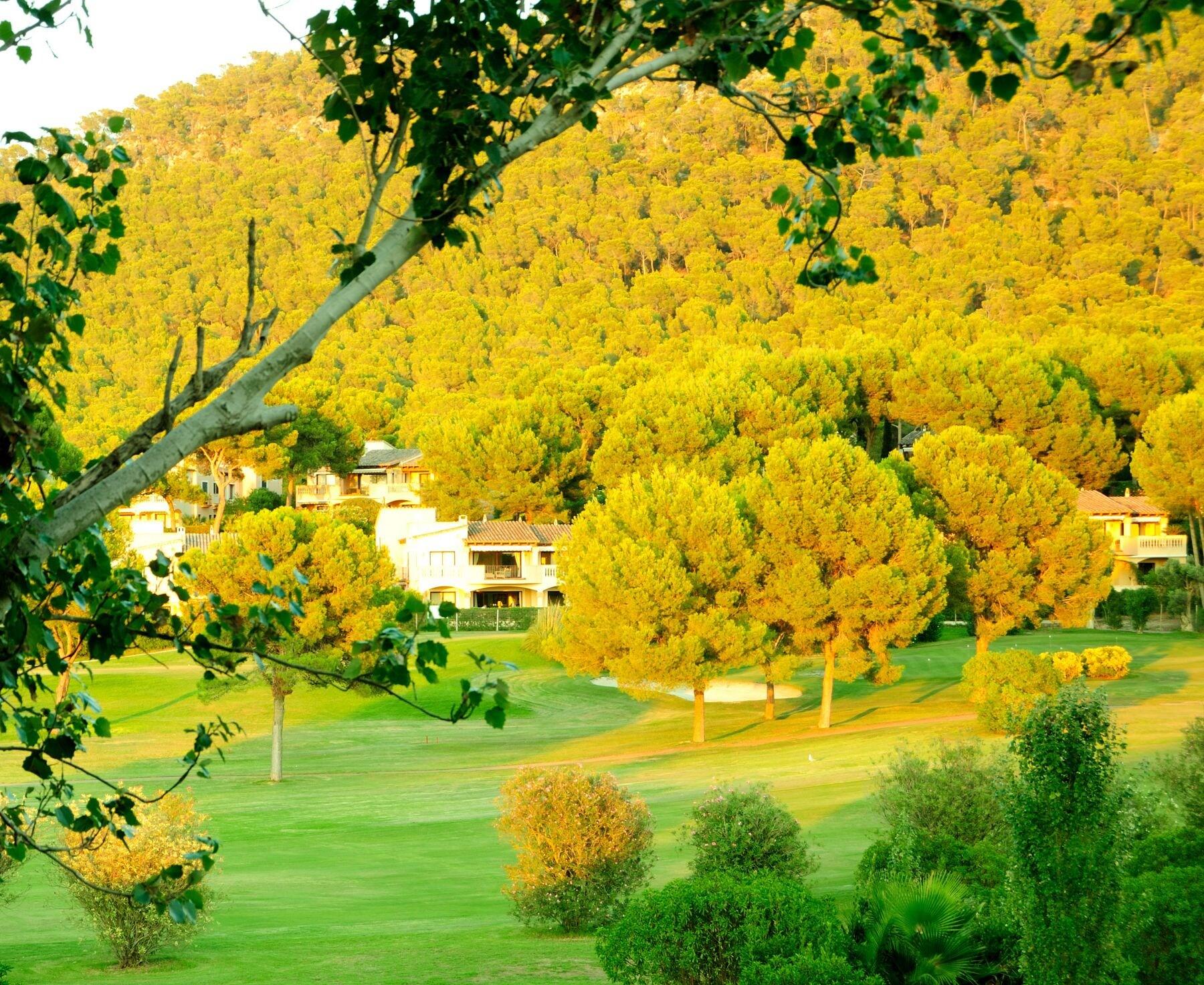 Hotel Golf 4*