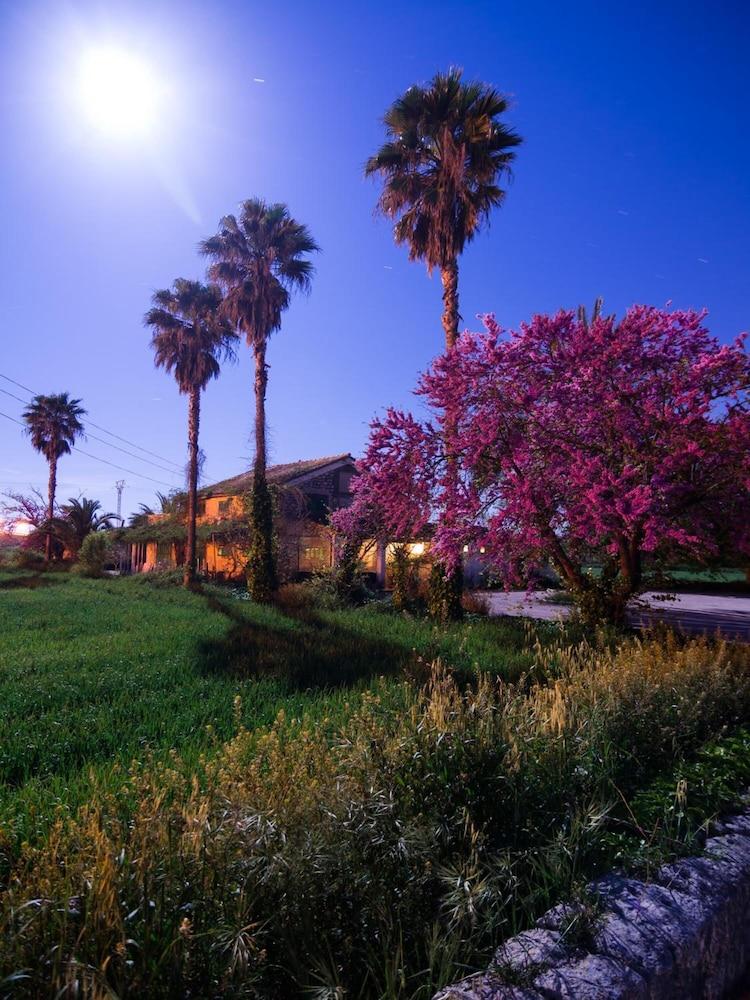 Embat - Montuiri (Mallorca)