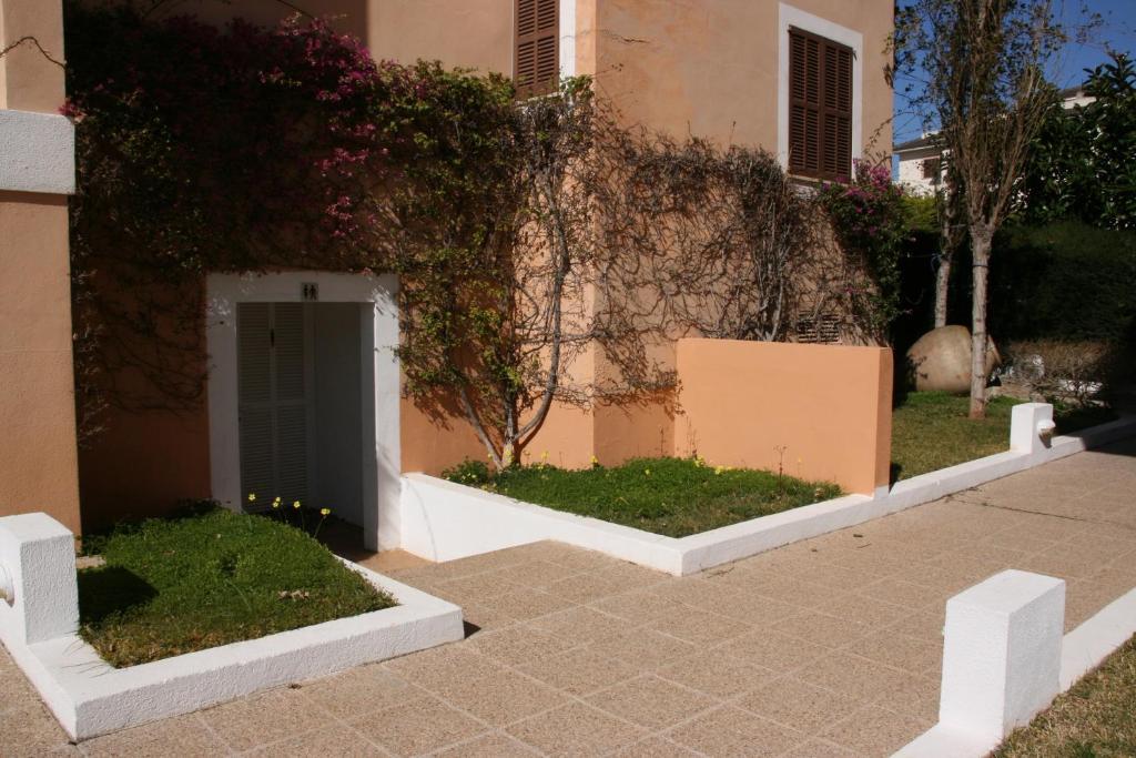 S'olivera * Canyamel (Mallorca)