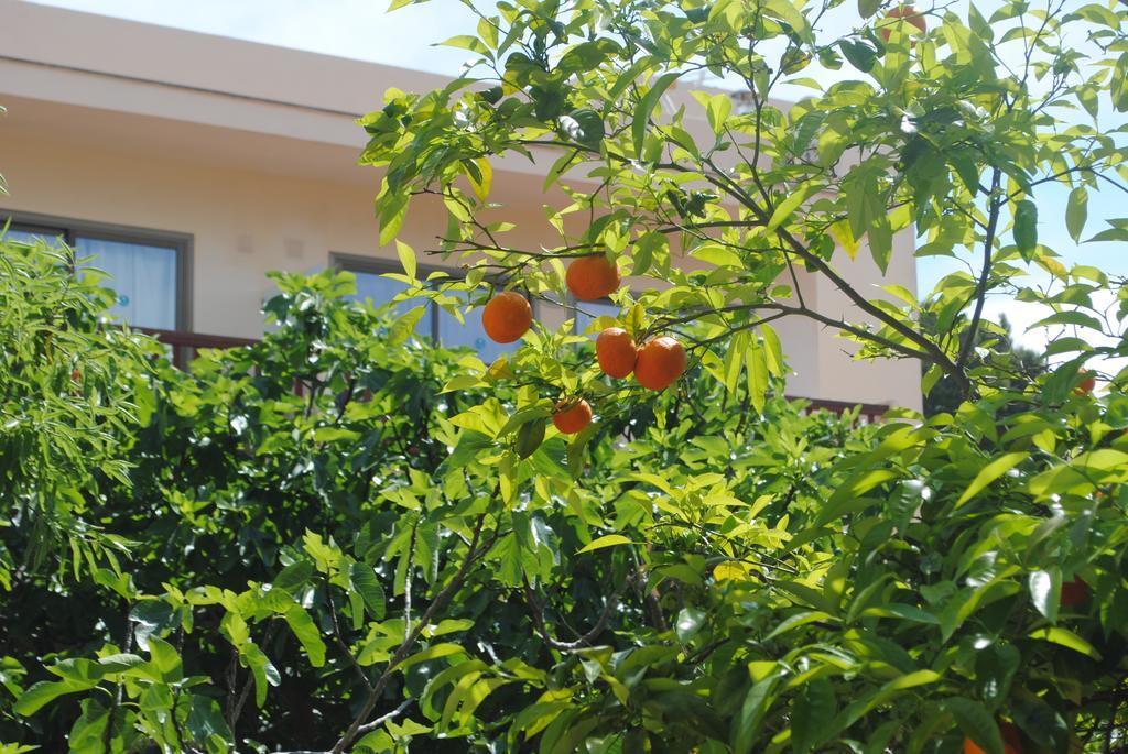 Flacalco Hotel&apartments Apartahotel 4*