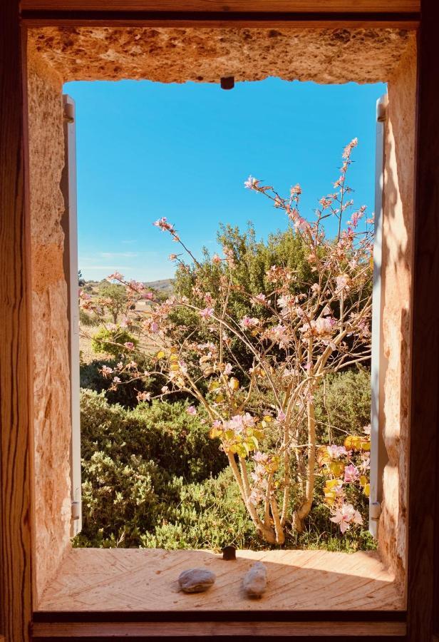 Villa Sa Moleta Nou Son Macià