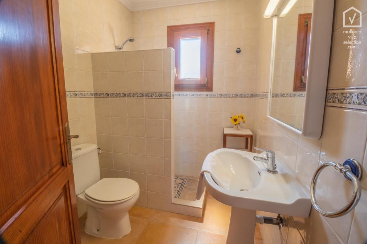 Camomila By Mallorca Selection