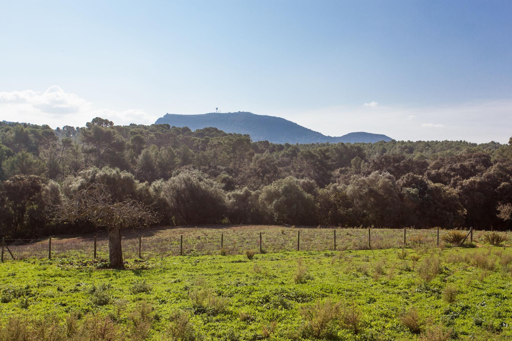 Possessio Binicomprat Hotel 4*