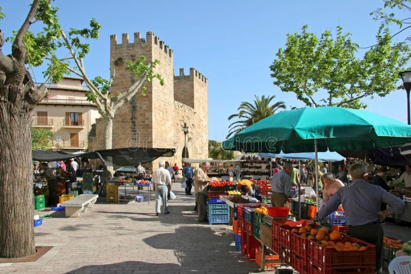 Apartment Canopus Paradise Alcudia (Mallorca)